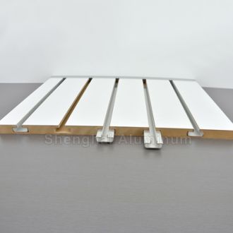 Electrophoresis Painting Aluminum Profile for Slatwall